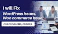 build and fix a custom woocommerce online store with elementor pro