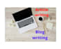 professionally translation,articles writing,blog writing