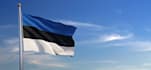 help with translating from estonian to english or vice versa