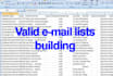 do lead generation, valid email lists, data entry, web scraping, research, excel