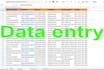 be your  smart virtual assistant for any type of data entry