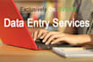 do data entry, data mining, data collection, data conversion
