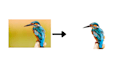 remove photos background and crop images