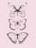 create modern insect tatoo design