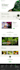 create a responsive wordpress website