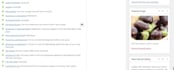 write and publish articles for blogs as guest posts