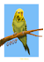 draw a custom pet portrait in childrens book style not ai
