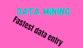 do fastest data entry in one day iternet research