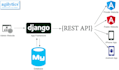 build professional python, django web app and rest API