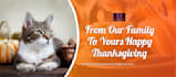 design a banner cover for your social media page sites