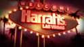 create this custom las vegas logo intro animation