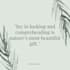 design custom inspirational quotes and ads