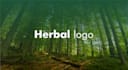 create beautiful green natural eco environment or herb logo for your company