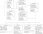 assist you in all software engineering tasks