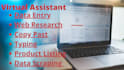 data entry data collection copy paste web research