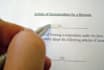 write your articles of incorporation for your USA business