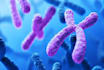 genetics and biology helper