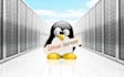 support with linux,vps,web,dns,email servers