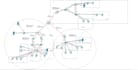 assist on packet tracer