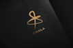 create a premium logo