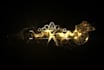 create best luxury logo reveal intro