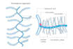 design scientific, medical, educational illustration redraw