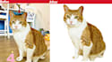 do image masking by the photoshop