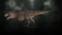 make a photorealistic 3d modeling, animation, rendering