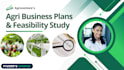 create agribusiness plans and feasibility studies