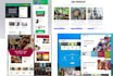 build non profit wordpress website design, charity website, donation website