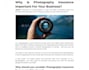 write an intelligent and top quality article or blog in 24hrs