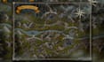 create custom fantasy maps for you