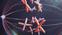 make high quality 3d medical animation