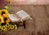 be your experienced online holy quran teacher or tutor, quran teaching