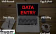 do fastest data entry in one day, internet research
