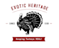 best logo designer and graphic designer