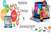 design and develop website or web portal for you