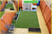 replace grass, blue sky professionally fast turnaround
