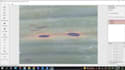 collect and label object detection dataset
