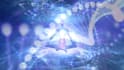 perform 12 strands dna activation healing