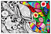 draw coloring book pages or books for adults