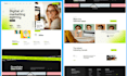 design a professional wordpress website, blog, or business site