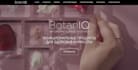 find a website template