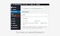 provide website management and maintenance service