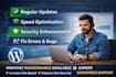 do wordpress maintenance, technical support or help