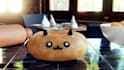 create stunning object or food 3d model animation
