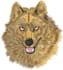 do embroidery digitizing logo into emb dst pes files in 1 hr