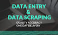 do fastest data entry, web scraping in one day at low price