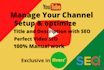 do best youtube video SEO and advance channel optimization for organic growth