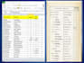 do accurate data entry,excel,copy paste,pdf, word to excel